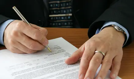 In hac habitasse platea dictumst. Duis pellentesque